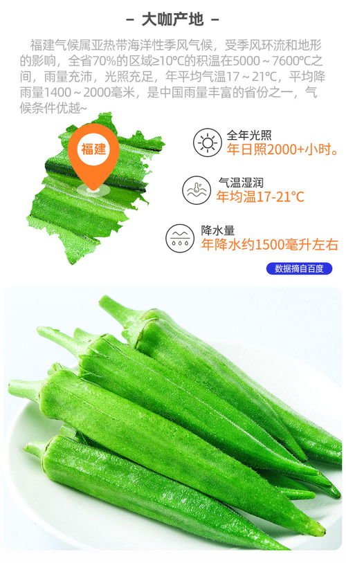 新鲜现采秋葵，餐桌上的绿色宝藏——产地直发，批发零售全面上新