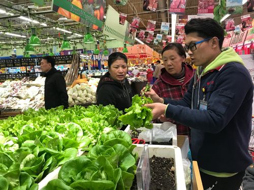 蔬菜产品已日趋成熟,现计划研发无人采摘蔬菜零售柜员机,实现工厂化